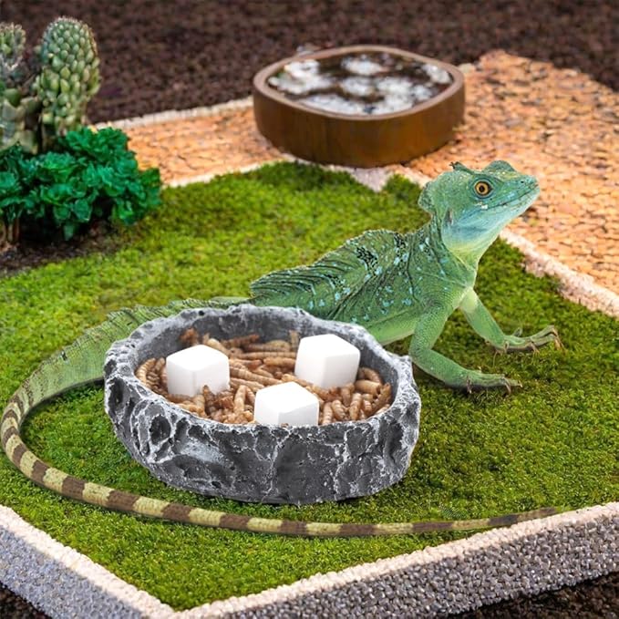 DQITJ 18 Pcs Small Reptile Calcium Stone Natural Calcium Mineral for Reptiles Turtle Tortoise Lizard Frog Chameleon (3 Pack)