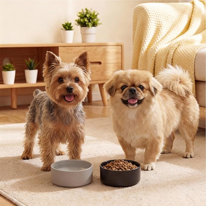 Ceramic Dog Bowl for Food and Water - Pet Feeder Bowl for Small Dogs and Cats - Heavy Ceramic Feeding Dish with Non Slip Base - Dishwasher & Microwave Safe - Set of 2 Bowls - 5Inch/1.4 Cups - Green