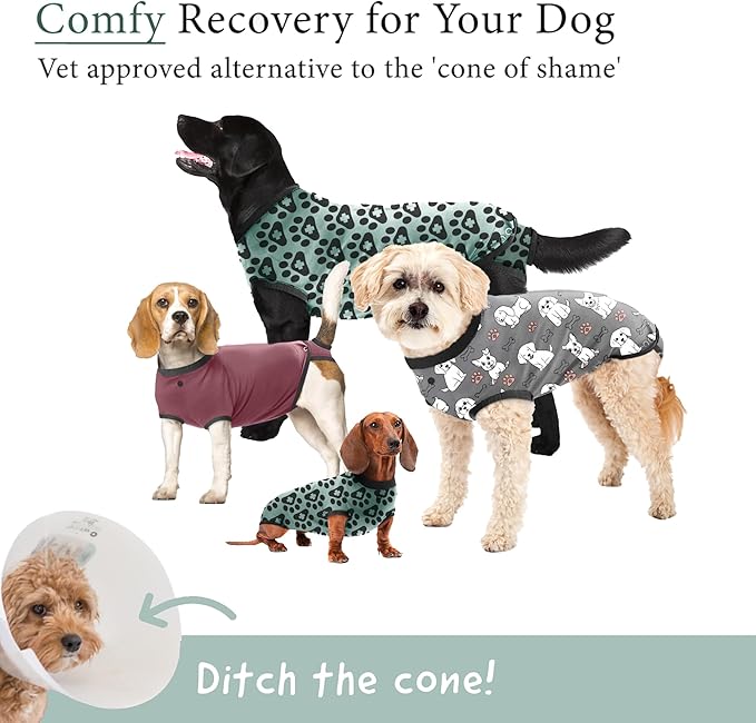BellyGuard Dog Surgery Recovery Suit, Dog Onesie for Post-Op Care, Recovery Apparel for Female and Male, Surgical Body Cover for Canine Healing Support