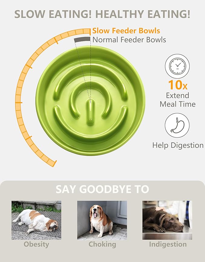 Ceramic Slow Feeder Dog Bowls Elevated, 2.0 Cups Slow Feeder for Medium Dogs, Puzzle Maze Bowl to Slow Down Eating, 30oz, 8in, Green