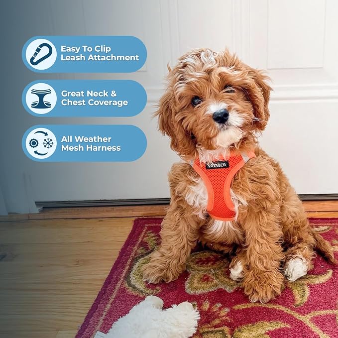 Best Pet Supplies Voyager Step-in Air All Weather Mesh Harness and Reflective Dog 5ft Leash Combo with Neoprene Handle, for Small, Medium and Large Breed Puppies - Orange, Large