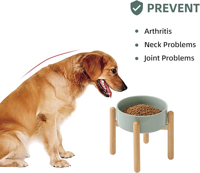 Havniva Ceramic 8.2inch Raised Dog Bowl with Stand for Large - Breed Dogs, Pet Food and Water Feeder(Single Bowl with Stand - Light Green)