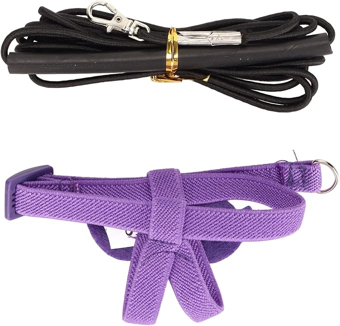 Bird Harness and Leash Adjustable Bite Traction Rope for Training or Outdoor Walks Bird Accessories (Purple)