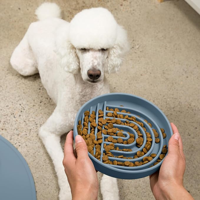 Should We Go? Slow Feeder for Dogs & Puppies, The Slowdown Bowl Silicone Slow Eating, Modern Lick Mat Design, Reduces Gulping, Fits 2.5 Cups, 9.5” Across x 1.5” Tall, Mealtime Challenge, Large-Ocean