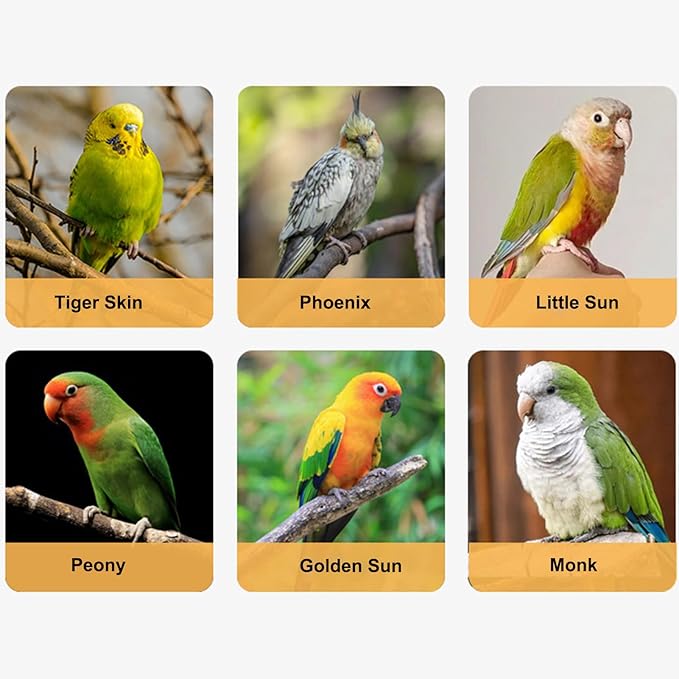 Parrot Leashes - Adjustable Flying Rope, Soft Foot Ring Strap, Lightweight Training Harness | Outdoor Bird Accessory for Parakeet Cockatiel Macaw Conure Parrotlet Lovebird Flights Safety Exercise