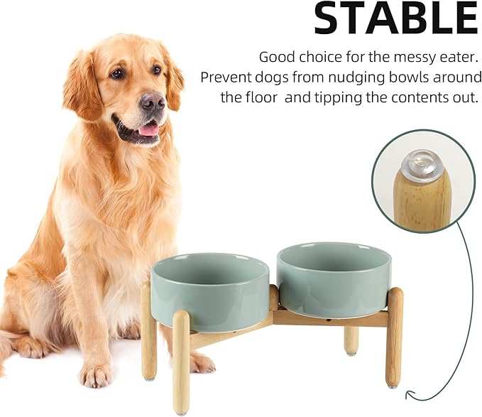 Havniva Ceramic 7.3inch Raised Double Bowls Set with Wooden Stand, Food & Water Bowls for Medium Breed Dogs, Weighted Dog Dishes, Pet Feeder(Light Green)