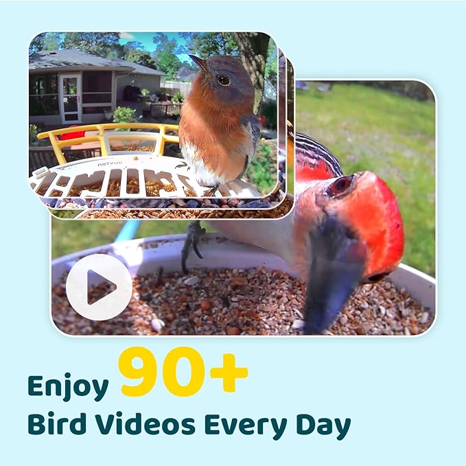 NETVUE by Birdfy Smart Bird Feeder with Camera – AI Identifies Birds Species 2MP Night Vision & App Alerts, 2.4Ghz Wi-Fi Connect IP65 Weatherproof Bird Camera-Gift for Backyard BirdWatchers, Yellow