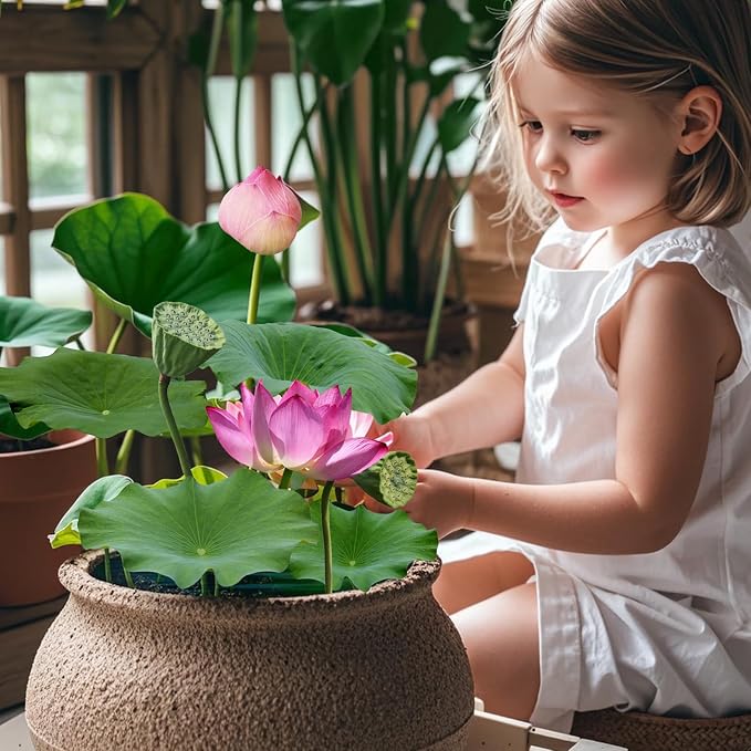 Doter Aquatic Soil for Plants - 2.2LBS, Clay Aquarium Soil Suitable for Small Ponds & Water Plants Like Lotus & Water Lily, Safe for Fish & Aquatic Life