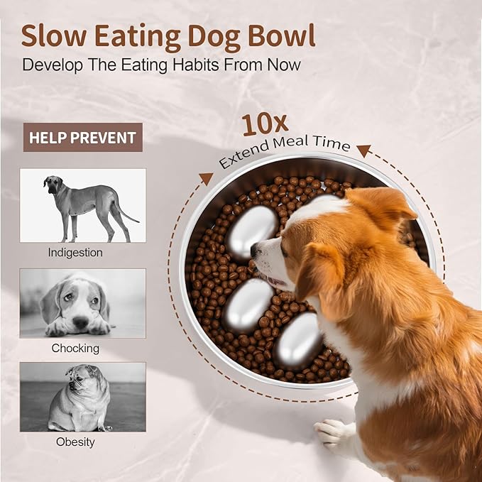 Slow Feeder Dog Bowl for Fast Eating Dogs Stainless Steel 8.2" with Non-Slip Base, Raised Obstacle Slow Down Eating for Small Medium Large Dogs, Reduces Bloat & Indigestion, Dishwasher Safe