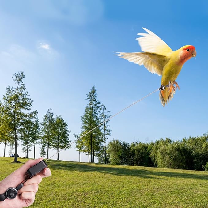 Retractable Bird Leash, with 5 Different Size Foot Ring and Feeder Box, Anti-Bite Parrot Harness Bird Flight Training Rope for Budgies, Cockatiels, Psittacula Longicauda, Mini Macaws (19.69Ft)