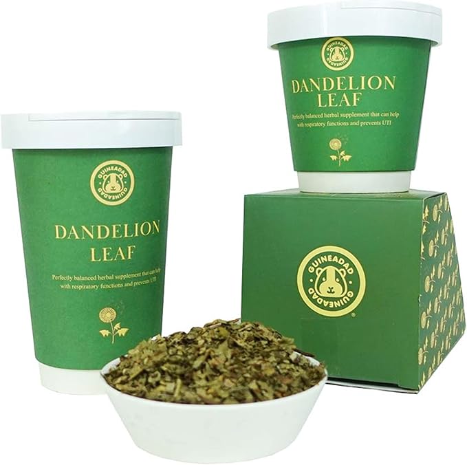 GuineaDad Organic Guinea Pig Herbal Treats - Guinea Pig Food with Convenient Packaging Dandelion Leaf Flavor 10 fl. oz - Guinea Pig Treats Help with Bonding High in Nutrition, Good for Digestion Small