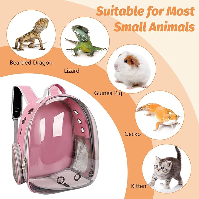 kathson Bearded Dragon Carrier with Harness and Leash Set, Large Reptile Travel Carrier Portable Lizard Backpack Clear Small Animals Carrying Bag for Gecko Hamster Rabbit Hedgehog Kitten (Pink)