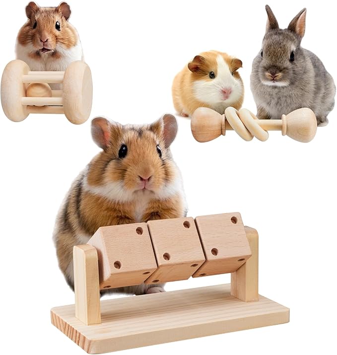 AOWPFVV 3 Pcs Wooden Hamster Enrichment Toys, Guinea Pig Chew Toys for Syrian & Dwarf Hamsters,Rabbits, Gerbils, Rats, Chinchillas, Small Animals Playing Teeth Grinding Indoor Outdoor