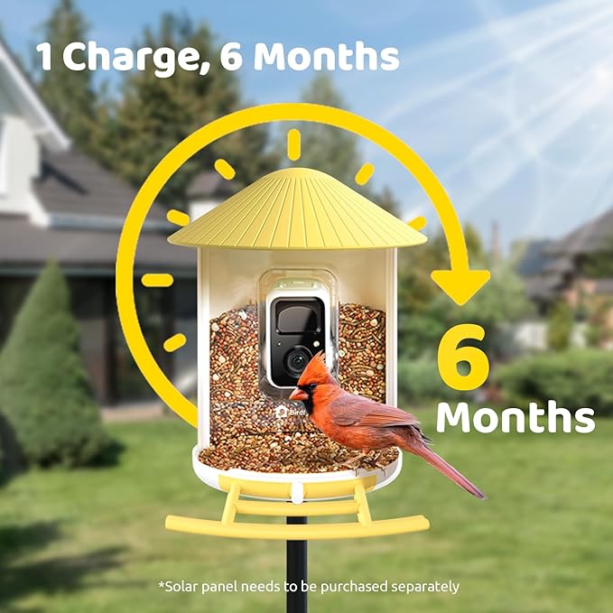 NETVUE by Birdfy AI Smart Bird Feeder with Camera, AI Auto Capture Each Bird Visit & Identify 6000+ Species, Cloud Store & Live Birdwatching, Ideal Gift (Yellow)