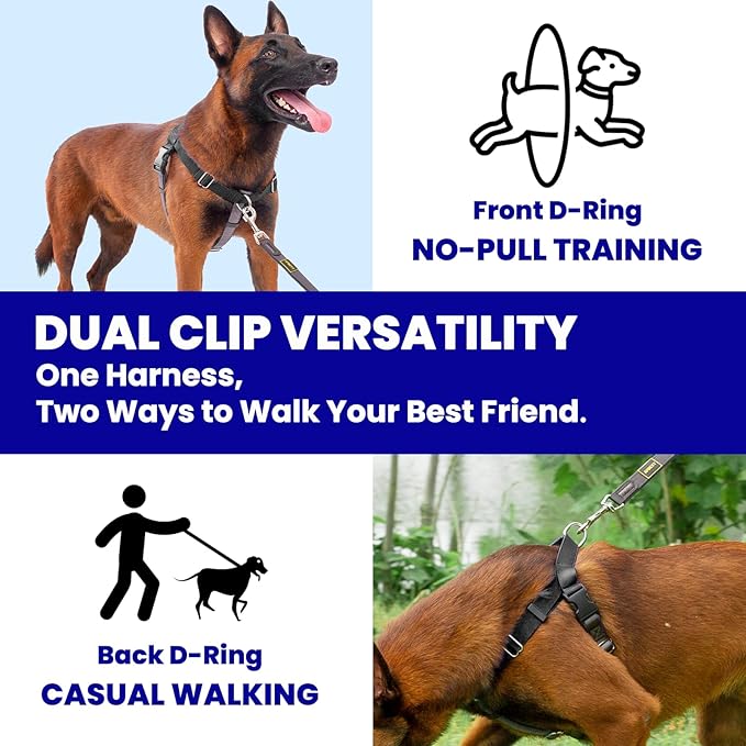 Freedom No Pull Dog Harness, Front Clip, Easy Walk, Dog Friendly with 2 Stainless D-Rings, Sewn-in Instructions Tags for Easy Use, for Large Dogs Weight 60-80 lbs (Black, L)
