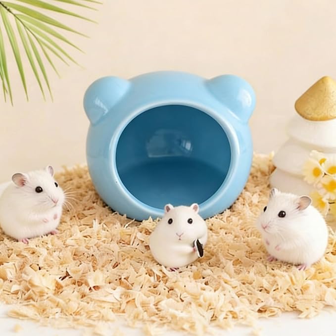 Hamster Hideout, Cute Ceramic Summer Cool Guinea Pig House, Sugar Glider Gerbil Cage Accessories for Hedgehog Mice (Blue)