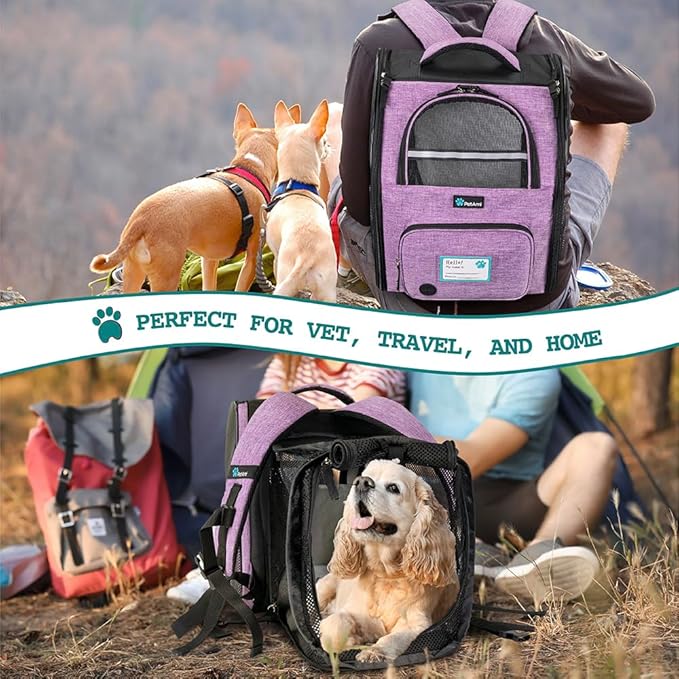 PetAmi Expandable Dog Backpack Carrier for Cats & Pets, Breathable Cat Carrier Backpack with Top Window & Multi-Entry, Ventilated Foldable Travel Carrier for Small Medium Pets up to 18 lbs, Purple