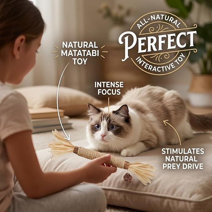 Cat Toys 3Pack Silvervine Chew Stick Kitten Treat Catnip Toy Kitty Natural Stuff Catnip Matatabi for Cleaning Teeth Indoor Dental Snack Interactive