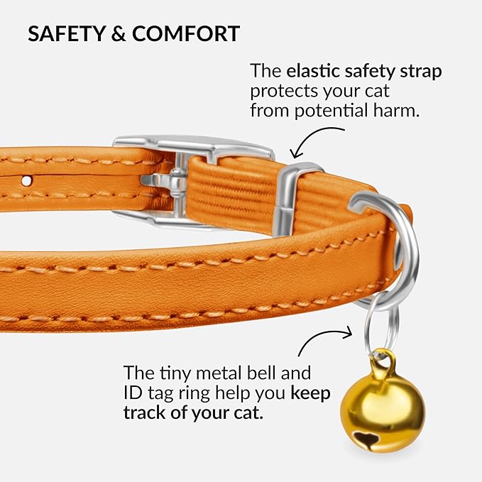 CollarDirect Leather Cat Collar with Removable Bell – Safety Elastic Strap (Breakaway Alternative) – Kitten Collar for Small & Big Boy & Girl Cats