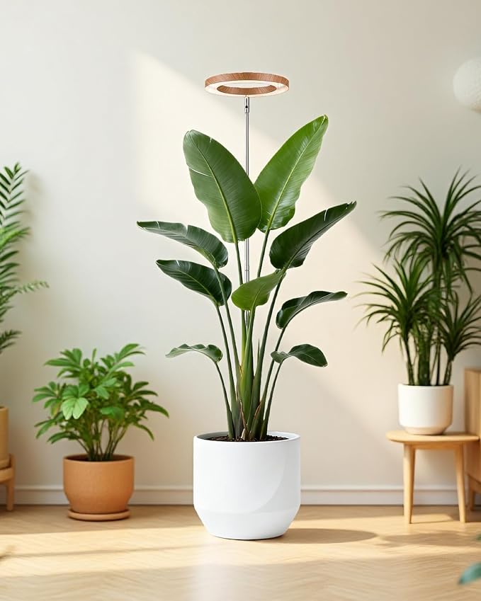 Plant Grow Light,LED Growing Light Full Spectrum for Indoor Plants,Aluminum Cherry Wood Grain Plant Lights,Height Adjustable, Automatic Timer, 5V Low Safe Voltage