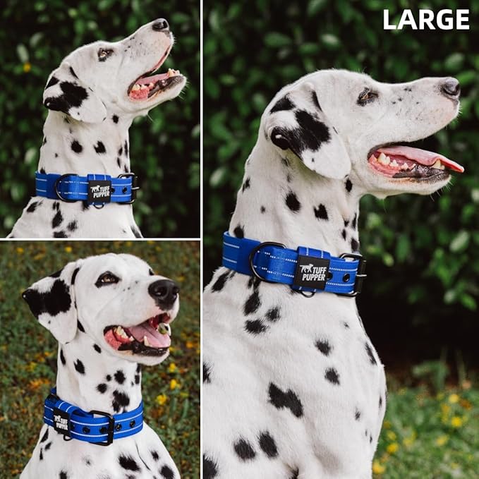 Tuff Pupper Heavy Duty Tactical Dog Collar | 1.5" Wide Ballistic Nylon | Reflective Stitching | Integrated ID Tag Holder | Stainless Steel Buckle | Padded Lining | Medium & Large Dogs (Blue, Large)