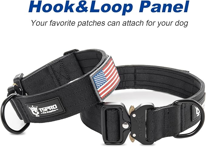 TSPRO Dog Collar, Nylon Heavy Duty Quick-Release Adjustable Dog Collar with Magic Name Tape, USA Flag Patch, D-Ring, for Small to Extra Large Dogs (Green, Size M or L)