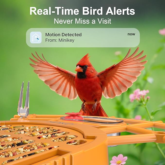 Smart Bird Feeder with Camera Outdoor Birdhouse, 4MP Ultra HD & AI Identify 11000+ Species, 2L Large Capacity, Solar Powered with App Arrived Alerts, Ideal Bird House Gifts for Mom Dad