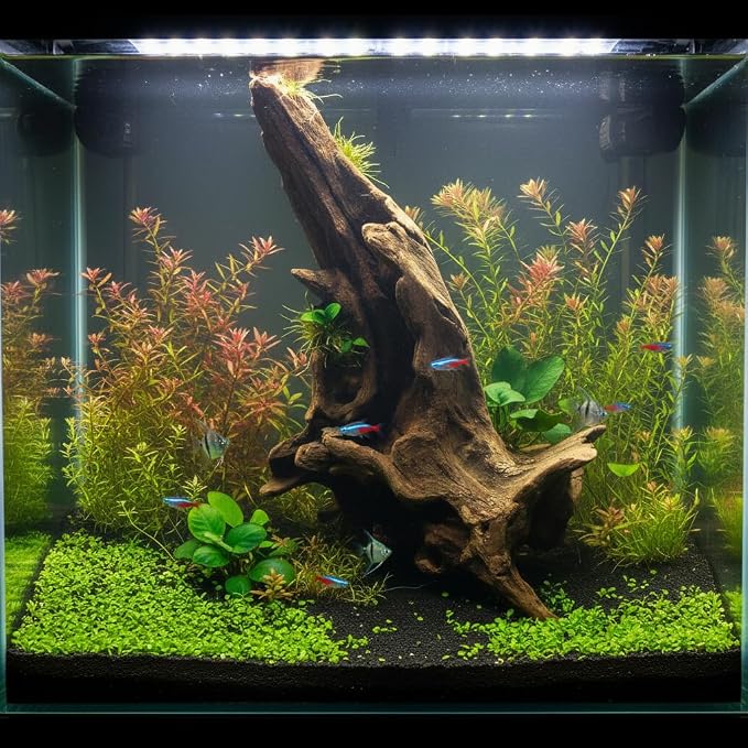 Natural Driftwood Tree Decoration for Aquarium, Fish Tank Plant Stump Ornament, Random Style(5-10cm)