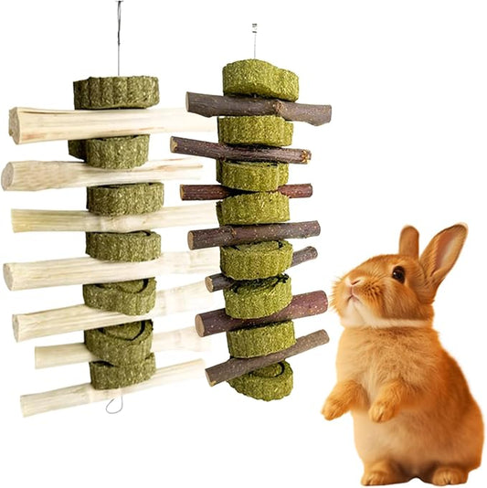 MANON ROSA 2 Pcs Natural Bunny Chew Toys for Dental Health - Apple Wood Bamboo Timothy Grass Sticks Grinding Treats for Rabbits Guinea Pigs Chinchillas Hamsters (Apple Wood & Sweet Bamboo)