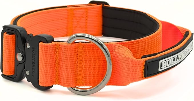 Heavy Duty Dog Collar, Tactical Dog Collar, Dog Collars for Medium Dogs, Waterproof Dog Collar, Dog Training Collar, Quick-Release Metal Buckle, Adjustable Sizes – BULLYBREED (Orange, Medium)