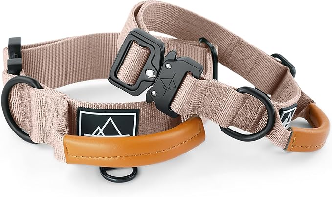 Made to ROAM Premium Explorer Control Collar - Adjustable Heavy Duty Nylon Dog Collar with Quick-Release Metal Buckle and Handle (Utah Glow, Control Size 3)