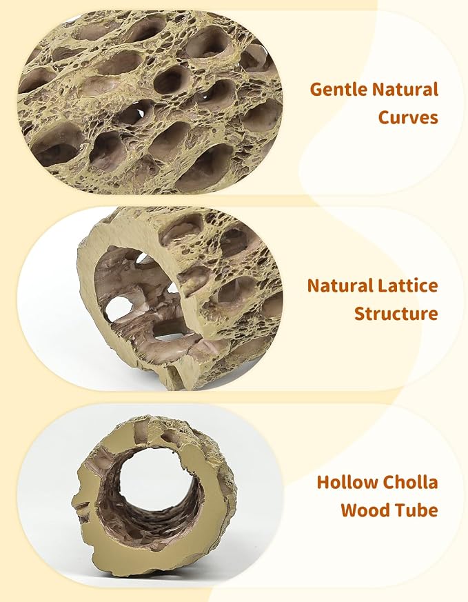 Uniclife Shrimp Hides for Aquarium, Shrimp Cave, Realistic Resin Aquarium Hollow Cholla Wood Decorations, Shrimp Hideout Tank Accessories for Fish Tank Decor, Hiding & Resting,1pcs