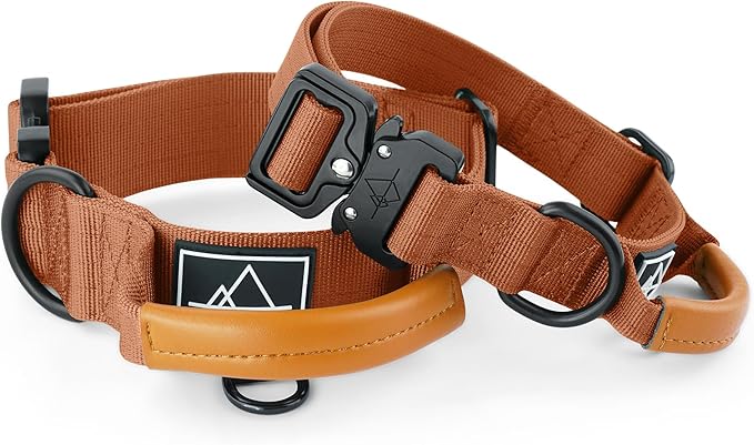 Made to ROAM Premium Explorer Control Collar - Adjustable Heavy Duty Nylon Dog Collar with Quick-Release Metal Buckle and Handle (Nevada Evening, Control Size 2.5)