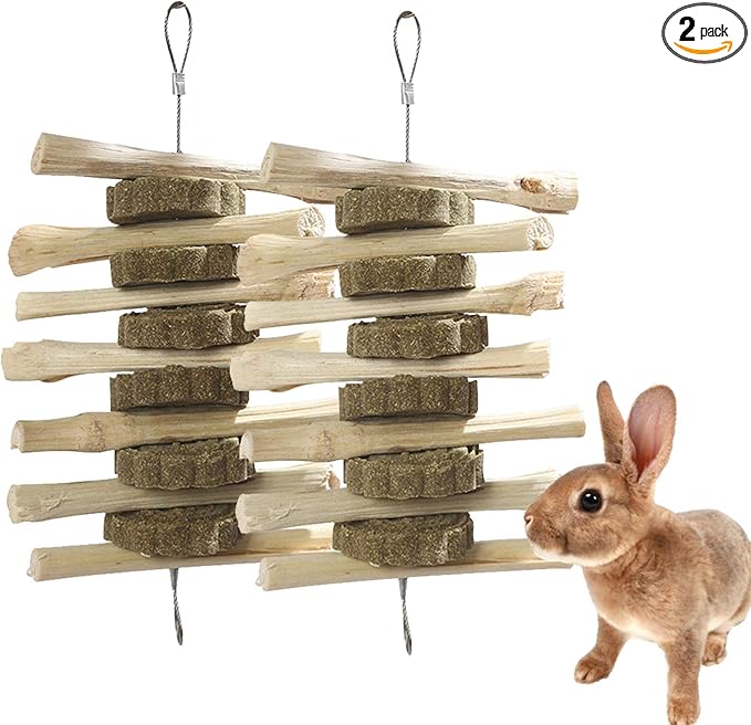 kathson Guinea Pig Treats Hanging Bunny Chew Toys for Teeth Grinding, Organic Bamboo Sticks Natural Rabbit Enrichment Toys for Small Animals Hamster Chinchilla 2 Pack
