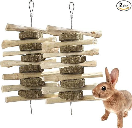 kathson Guinea Pig Treats Hanging Bunny Chew Toys for Teeth Grinding, Organic Bamboo Sticks Natural Rabbit Enrichment Toys for Small Animals Hamster Chinchilla 2 Pack