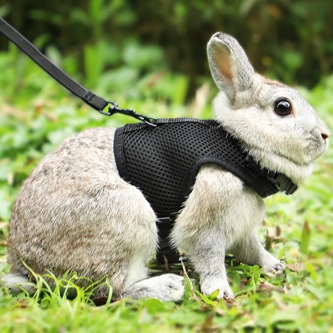 PETTOM Bunny Rabbit Harness with Stretchy Leash Cute Adjustable Buckle Breathable Mesh Vest for Kitten Small Pets Walking (Black,L)