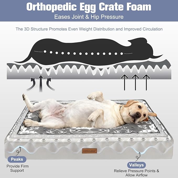 EXPAWLORER Dog Bed Small Medium Size Dogs, Waterproof Orthopedic Pet Mattress with Removable Washable Cover Non-Slip Bottom Zipper & Carry Handles, Comfy Thick Egg Crate Foam Beds Sofa 30x20x3in Grey