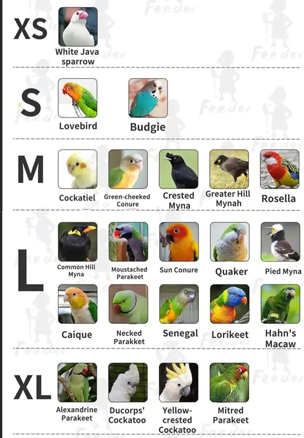 Bird Costume Bird Flight Suit Bird Clothes Cosplay Photo Prop for Parrots Parakeet Cockatiel Sun Conure, Bird Hoodie Small Animals Apparel (Black, Small)