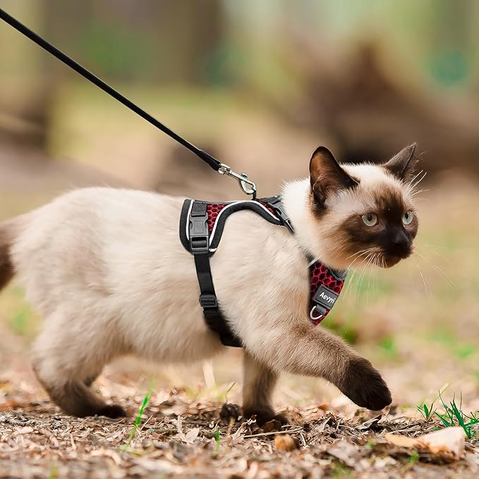 Cat Harness and Leash for Walking Escape Proof Soft Adjustable Cat Leash Breathable Honeycomb Structure Comfortable Vest Easy to Wear Kitten Harness for Outdoor Travel, Honeycomb Red, L