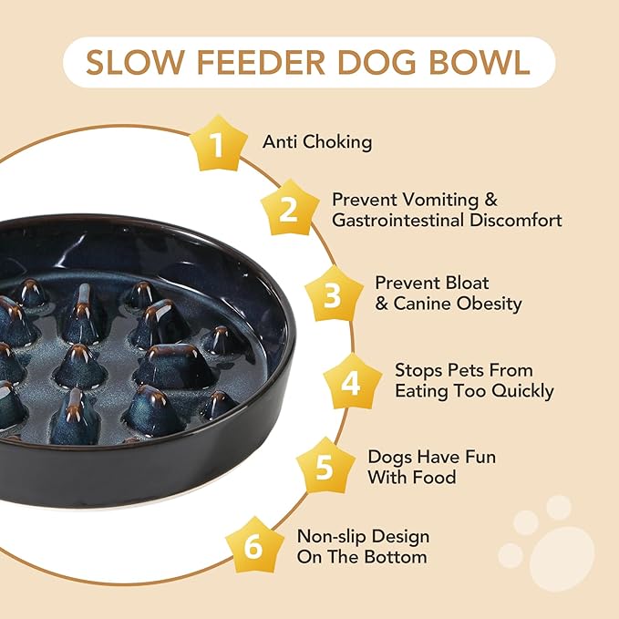 Havniva Elevated Slow Feeder Dog Bowls, 1.6 Cups/8.2 inch Slow Feeders + 7.3 inch Ceramic Dog Food & Water Bowls Set with Acacia Wood Stand Puzzle Bowls for Fast Eater, Medium Dogs Anti-Choking