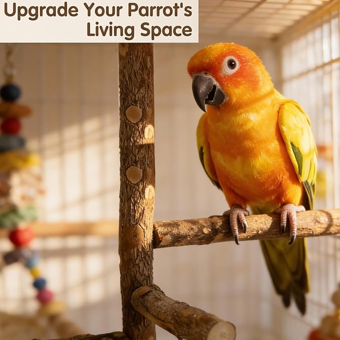 Bird Cage Perches Accessories: Parrot Natural Wooden Perch Set with 4 Standing Sticks - Daily Climbing Rest & Beak & Nail Grinding for Parakeets Luonfels - Caring for The Health of Parrots