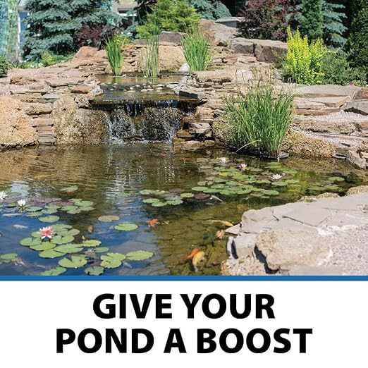 CrystalClear PondShock Ball Freshwater Clarifier, Enzymes Shock Treatment | Natural Live Bacteria Muck & Sludge Remover for Small Outdoor Water Garden Ponds. Koi Fish & Aquatic Plants Safe