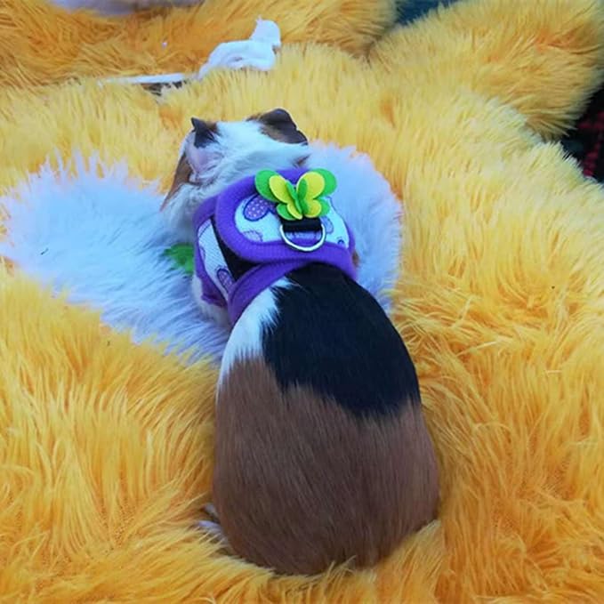 LIZEALUCKY Pack of 2 Small Pet Harness with Bowknot and Bell Decor, No Pull Comfort Padded Vest Guinea Pig Striped Harness and Leash Set for Ferret, Rats, Iguana, Hamster, Bearded Dragon