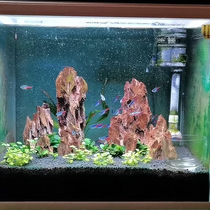 AWXZOM Natural Dragon Rock Carefully Selected Mixed Sizes, Decorative Aquarium Rocks, Aquarium Stones for Fish Tank (7.1lb-Large)