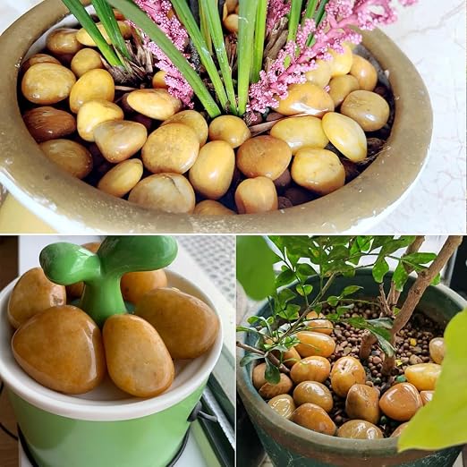 40lbs Yellow River Rocks for Landscaping, 2-3 Inch Natural Pebbles for Indoor Plants, High Polished Decorative Stones Garden Outdoor and Indoor DIY Vase Filler Fish Tank Aquariums