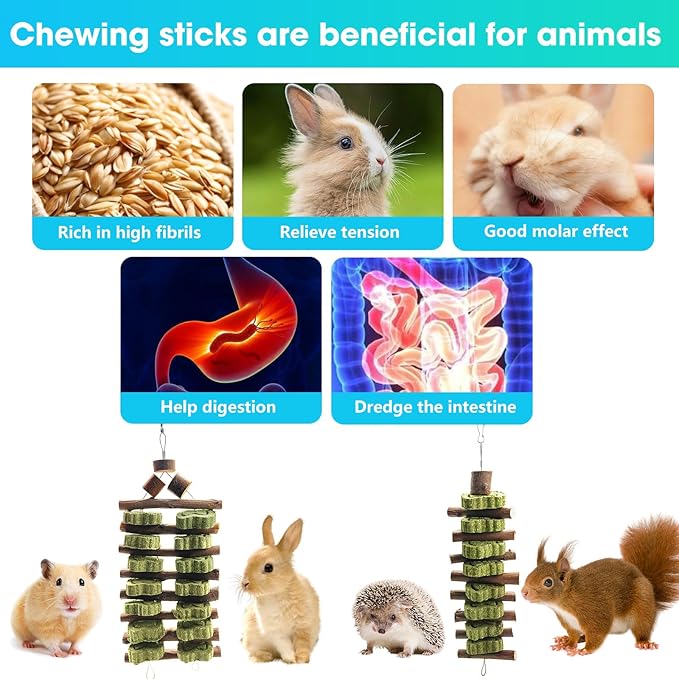 WDEFUN Natural Apple Wood Clover Cake Teeth Grinding Toy String - Rabbit Snack Chewing Toy, Safe and Durable Pet Teeth Grinding Rod, Caring for Dental Health