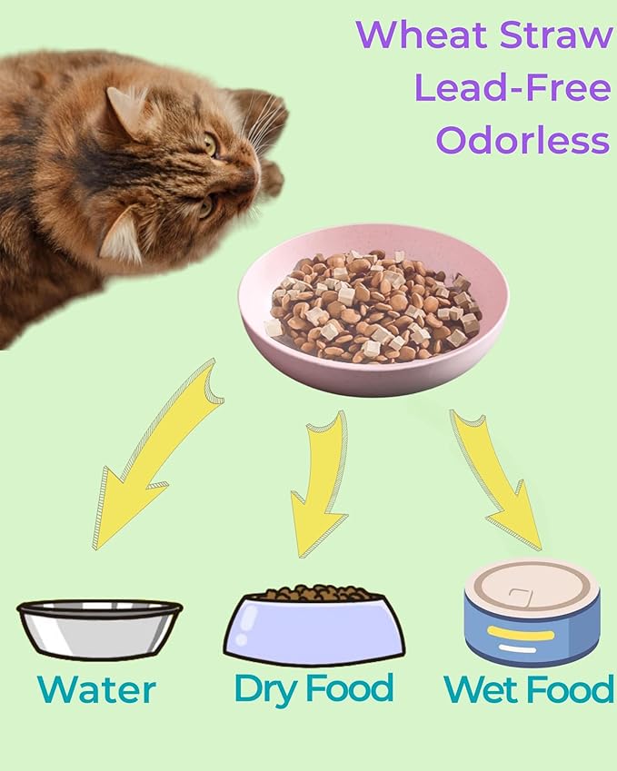 6-Pack Cat Food Bowl with Non-Slip Feet, Whisker Fatigue Cat Dishes for Food, Plastic Cats Bowls Set for Multi-Cats Homes, 5.5" Wide Shallow Relief Kitten Bowls BPA-Free, Dishwasher Safe
