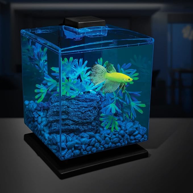 GloFish Aquarium Gravel 5 Pounds, Pearlescent, Complements Tanks and Décor (AQ-78484) (Pack of 6)