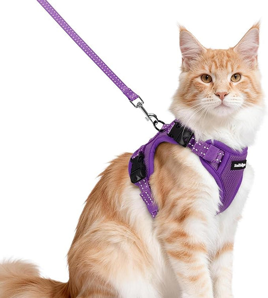 rabbitgoo Cat Harness and Leash, Escape Proof Vest with 3 Adjustable Buckles, Soft Comfortable Kitten Harness, Easy to Wear, Reflective for Safe Outdoor Walking, Medium, Purple