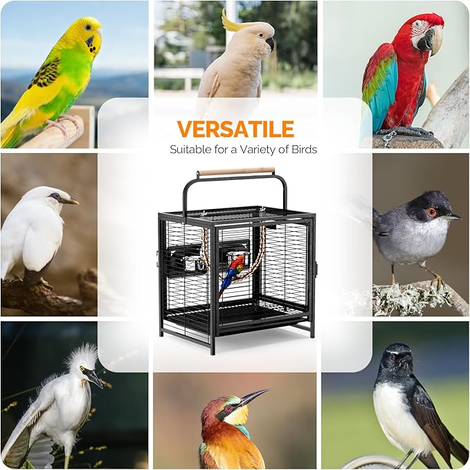 VINGLI Bird Cage, Wrought Iron Bird Cage with Handle for Parakeets, Parrot, Lovebirds, Finches, Small/Medium Birds (25" with Handle)